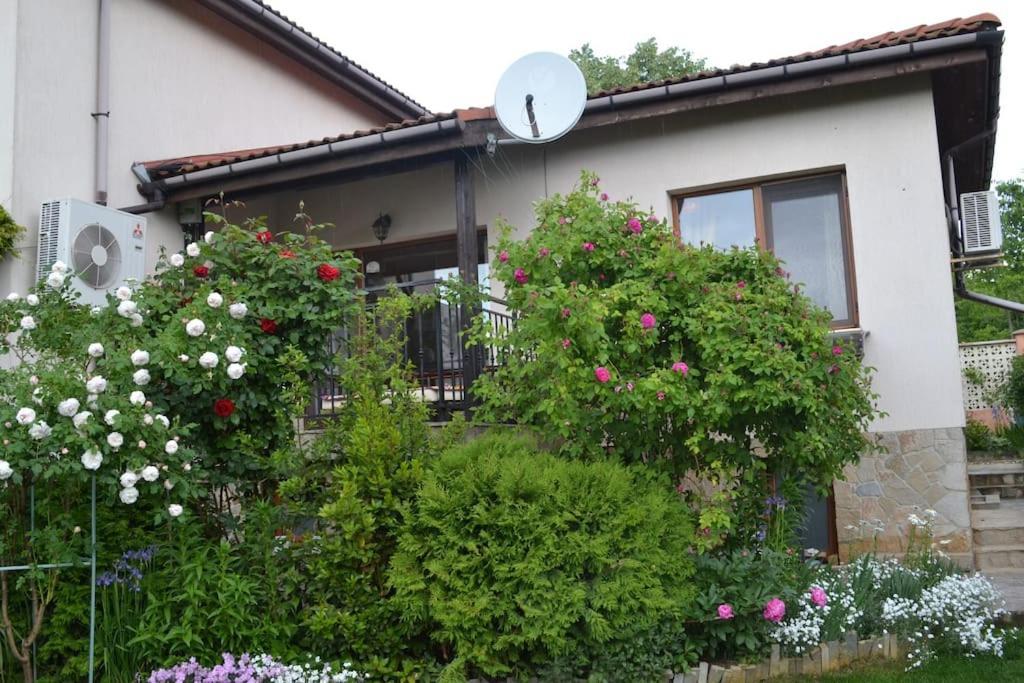 Sea & Garden Villa Varna Exterior photo