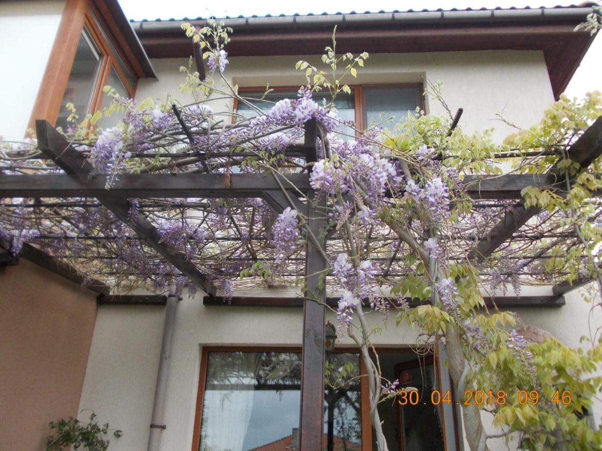 Sea & Garden Villa Varna Exterior photo